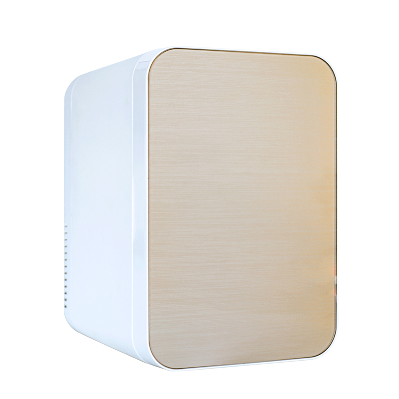 4L/6L/8L/10L Commercial High Quality Cosmetic Electric Refrigerator with Mirror Beauty Small Refrigerator