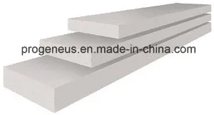 Progeneus Lightweight AAC Wall Panel/Cladding and Floor Slab ALC Panel