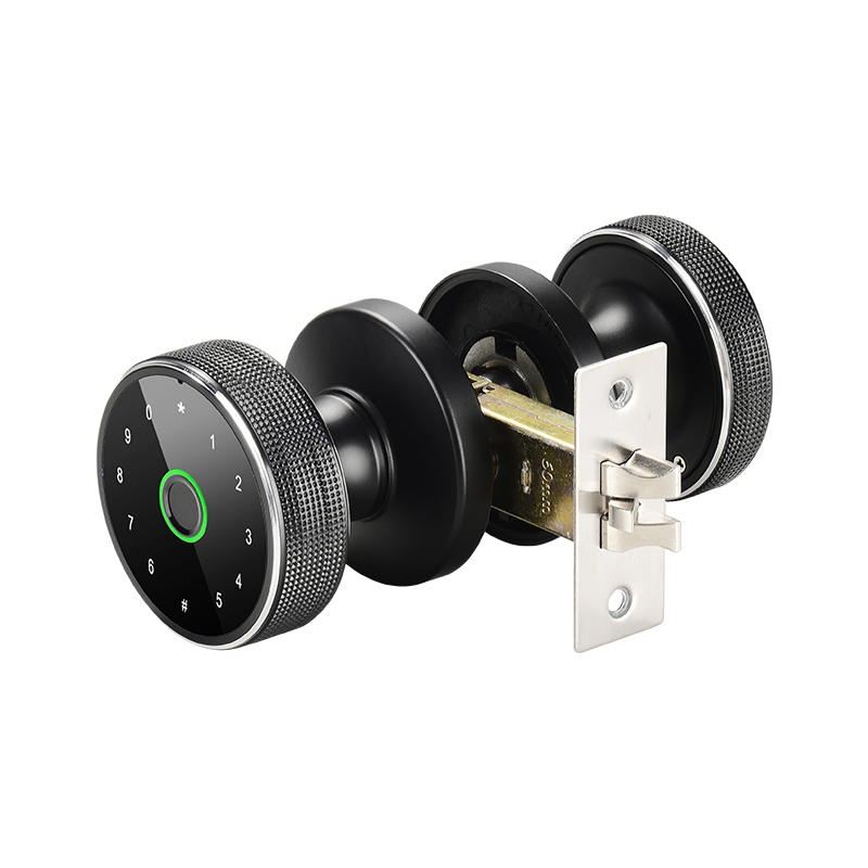 Tuya WiFi Knob Smart Door Lock Mobile Unlock Setting Lock