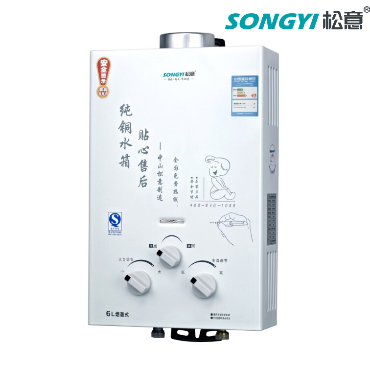Kitchen Appliance Energy-Saving Flue Type Gas Water Heater for Indoor Installation