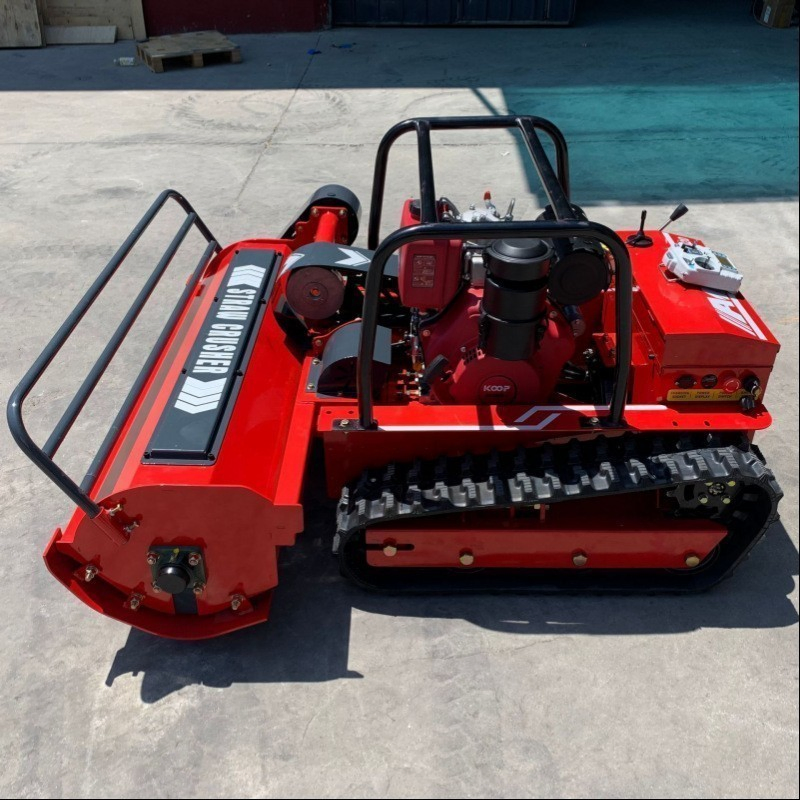 Subscription-Free Robotic Weeder for Sustainable No-Till Farming Weeding Robot