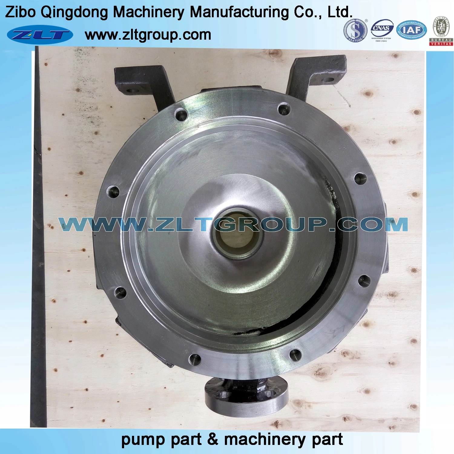 Sand Casting Customized ANSI Chemical Pump Casing in Stainless/Carbon Steel CD4/316ss/Ti
