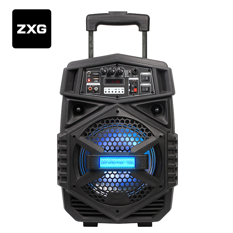 2200 mAh Li Battery Te8-7L Temeisheng 8 Inch Portable Wireless Bluetooth Stage Speaker Home Theatre System Sound