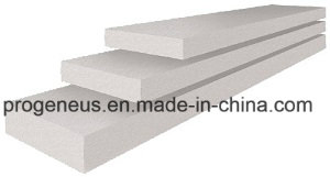 Progeneus High Quality AAC Panel for Floor/ALC Panel/Autoclaved Aerated Concrete Panel
