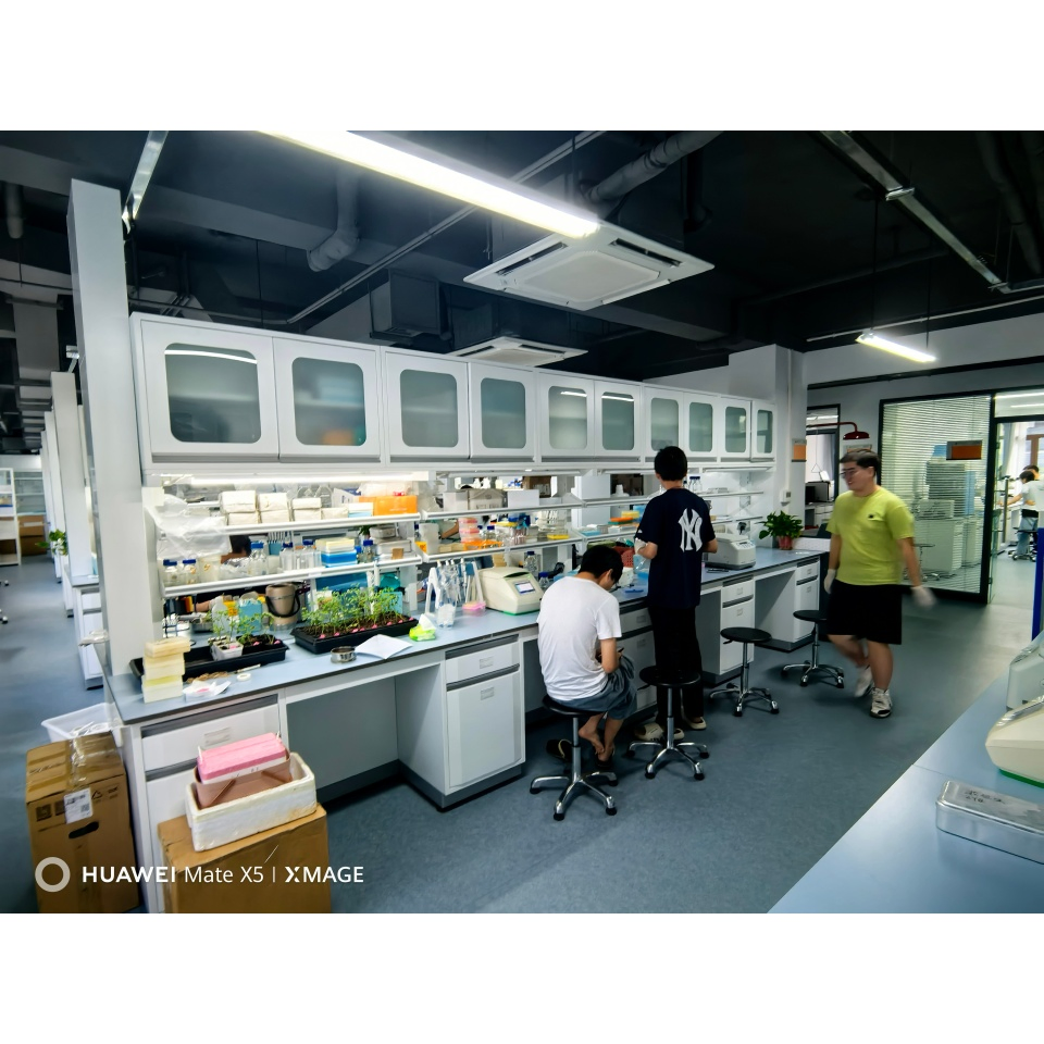 180kg Factory Price Sturdy Hospital Lab Bench with Storage Rack for Work