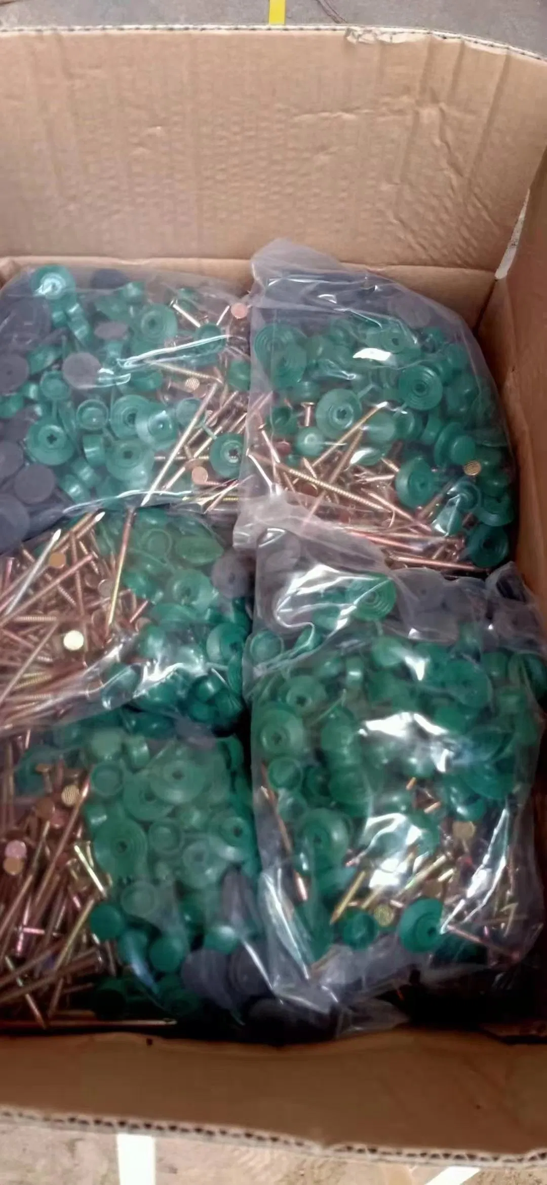 Roofing Screws Nails with Twisted Shank/Ring Shank with Plastic Caps