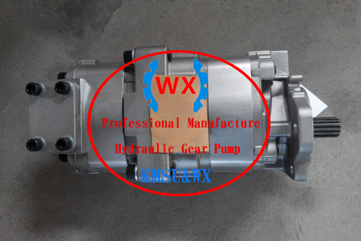 705-51-30170 Double Hydraulic Gear Pump for Crane Lw250L-1nh/Lw250L-1nx