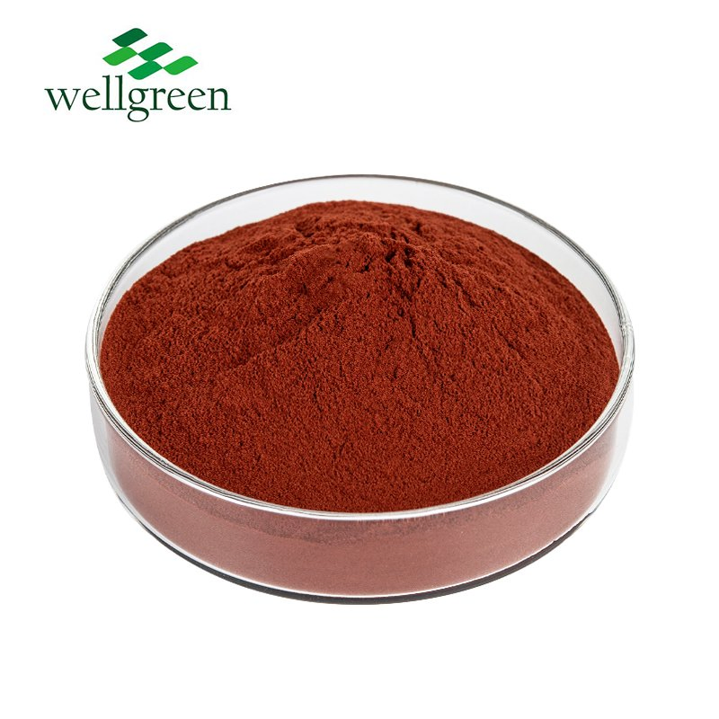 Bulk Haematococcus Pluvialis Extract Astaxanthin Powder Capsules for Fish