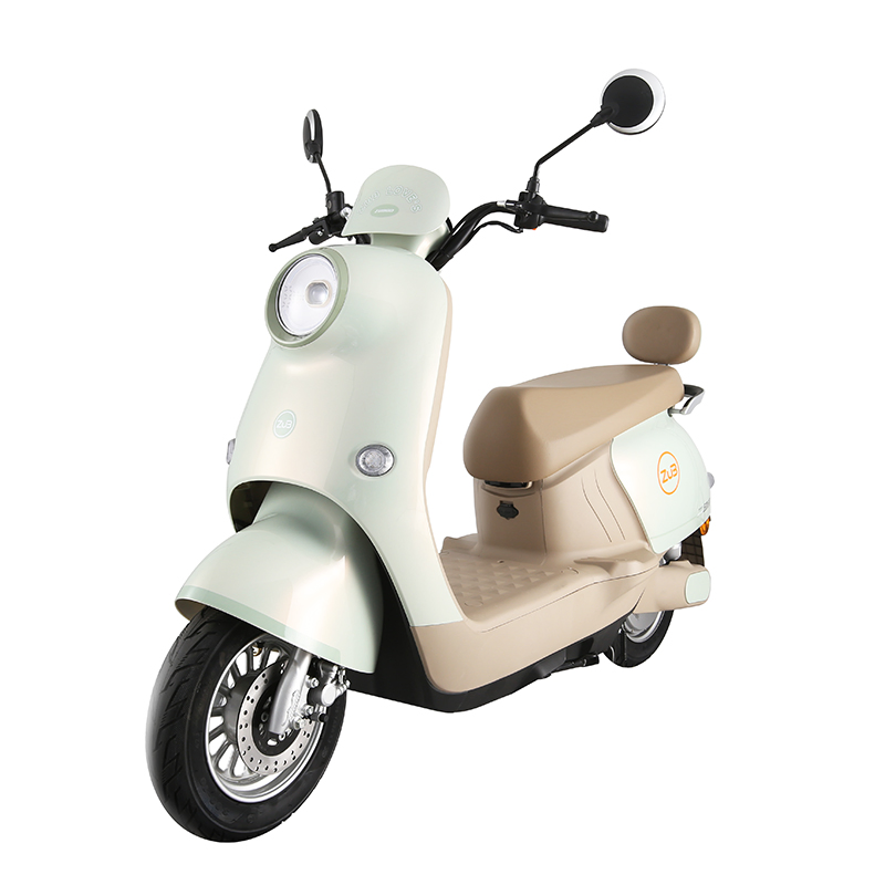 Low Price Long Range High Performance Lead Acid Battery 800W Electric Moped for Adult