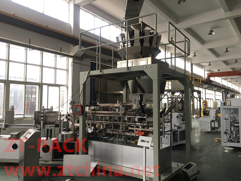 Detergent Powder Carton Box Packing Machine
