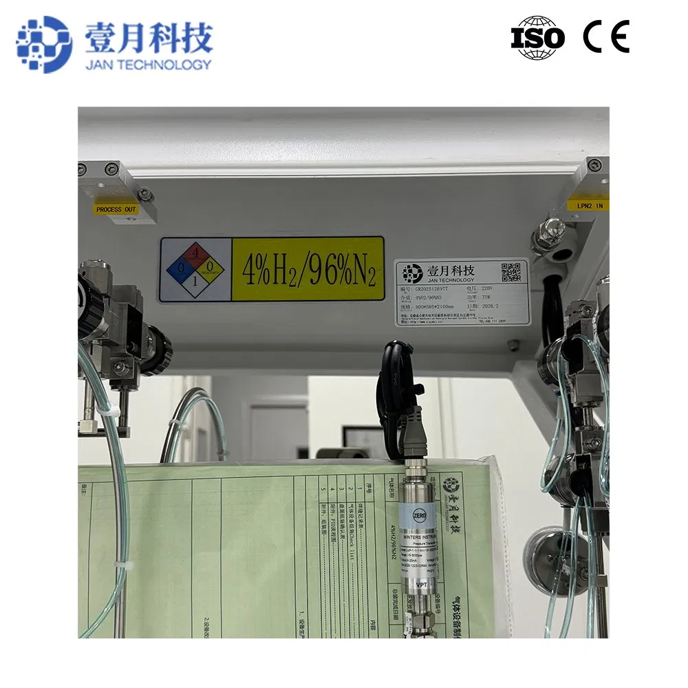 Semi Automatic Single Cylinder Gas Delivery Rack with Switchover for Electronics Manufacturing