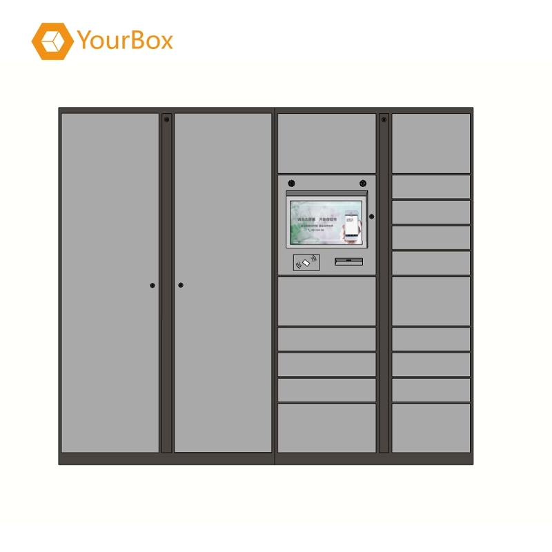 Laboratory Dangerous Goods Chemical Safety Cabinet Anti-Corrosion RFID Storage Cabinet
