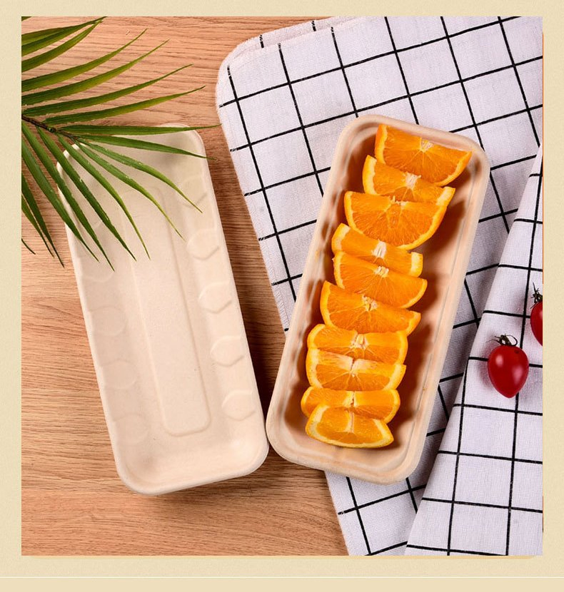 Zhongxin Wholesale Biodegradable Tableware Sugarcane Tray for Meat Fruit Vegetable