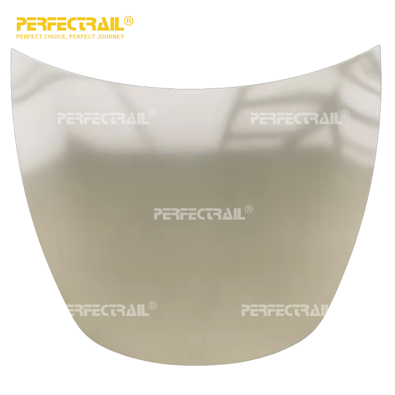 1081390-E0-C Factory Custom Auto Parts Engine Hood for Tesla Model 3 2019-2021 Electric Car