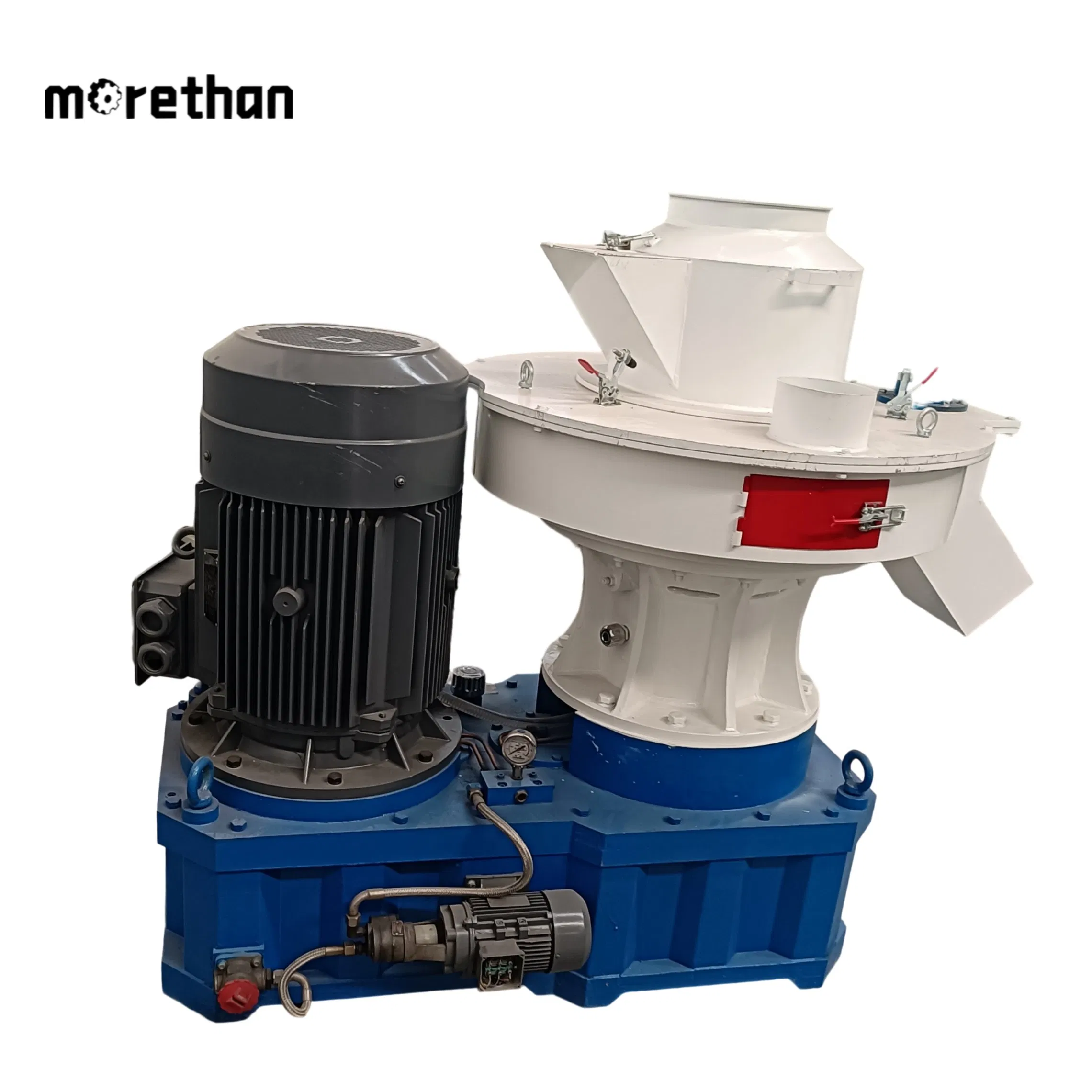 Ring Die 4-12mm 0.5-1t/H 55kw Biomass Pelletizer Sawdust Pellet Production Line Rice Husk Pelletizing Machine Pellet Making Machine Biomass Pellet Machine
