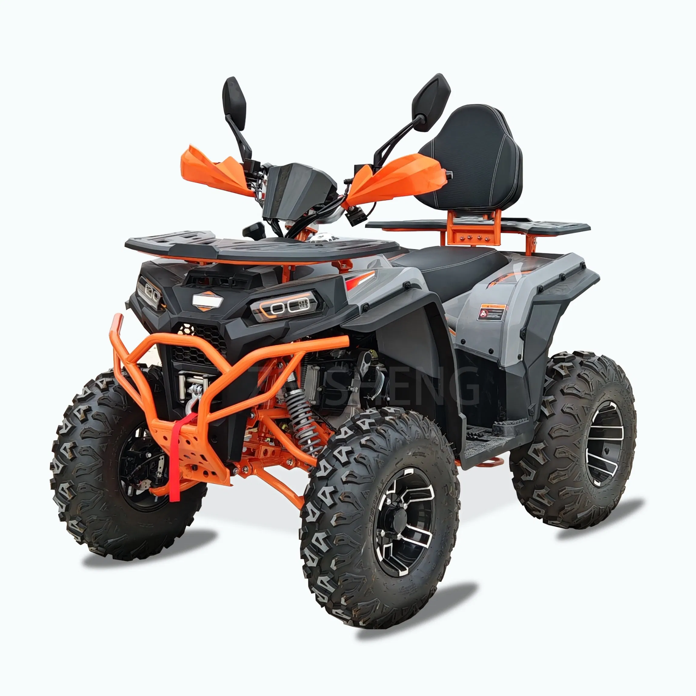 Big Quad Bike Adult ATV 200cc 250cc ATV