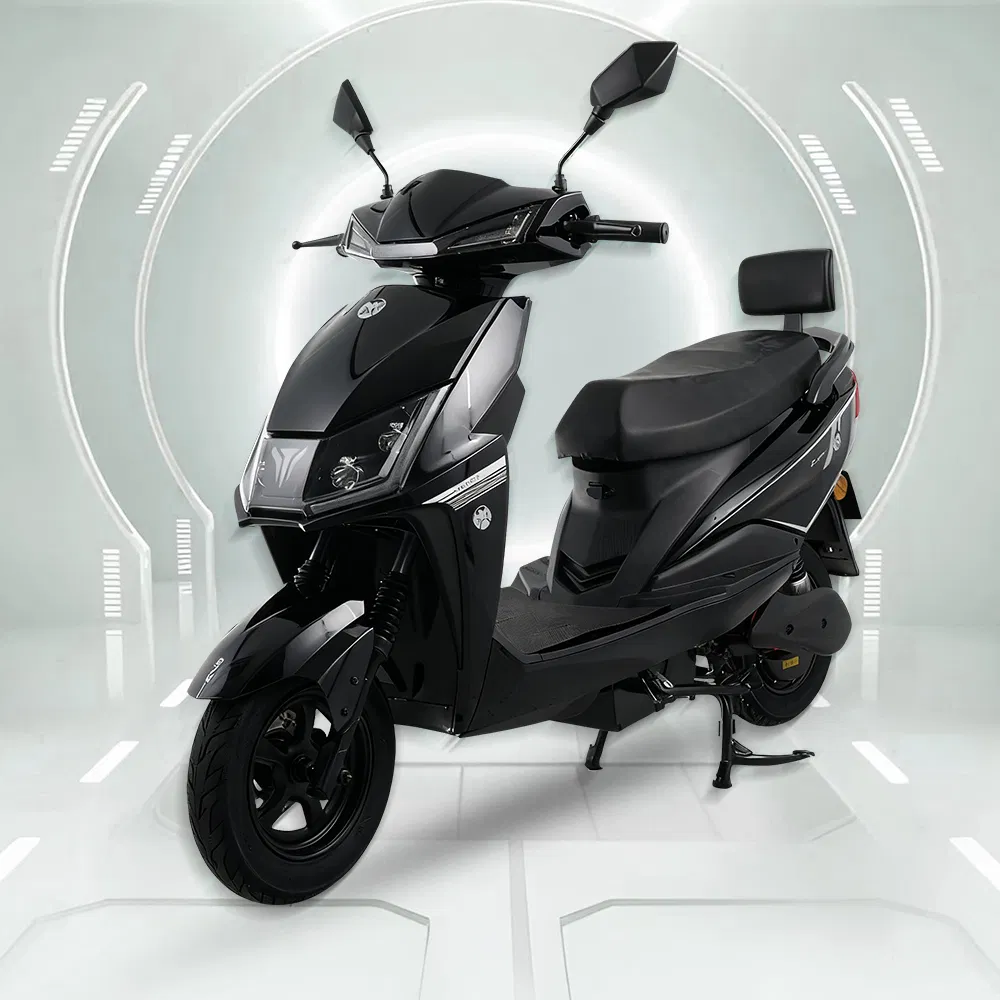 2026 Urban Commuting 10 Inch Brushless DC Motor Customizable Electric Motorcycle