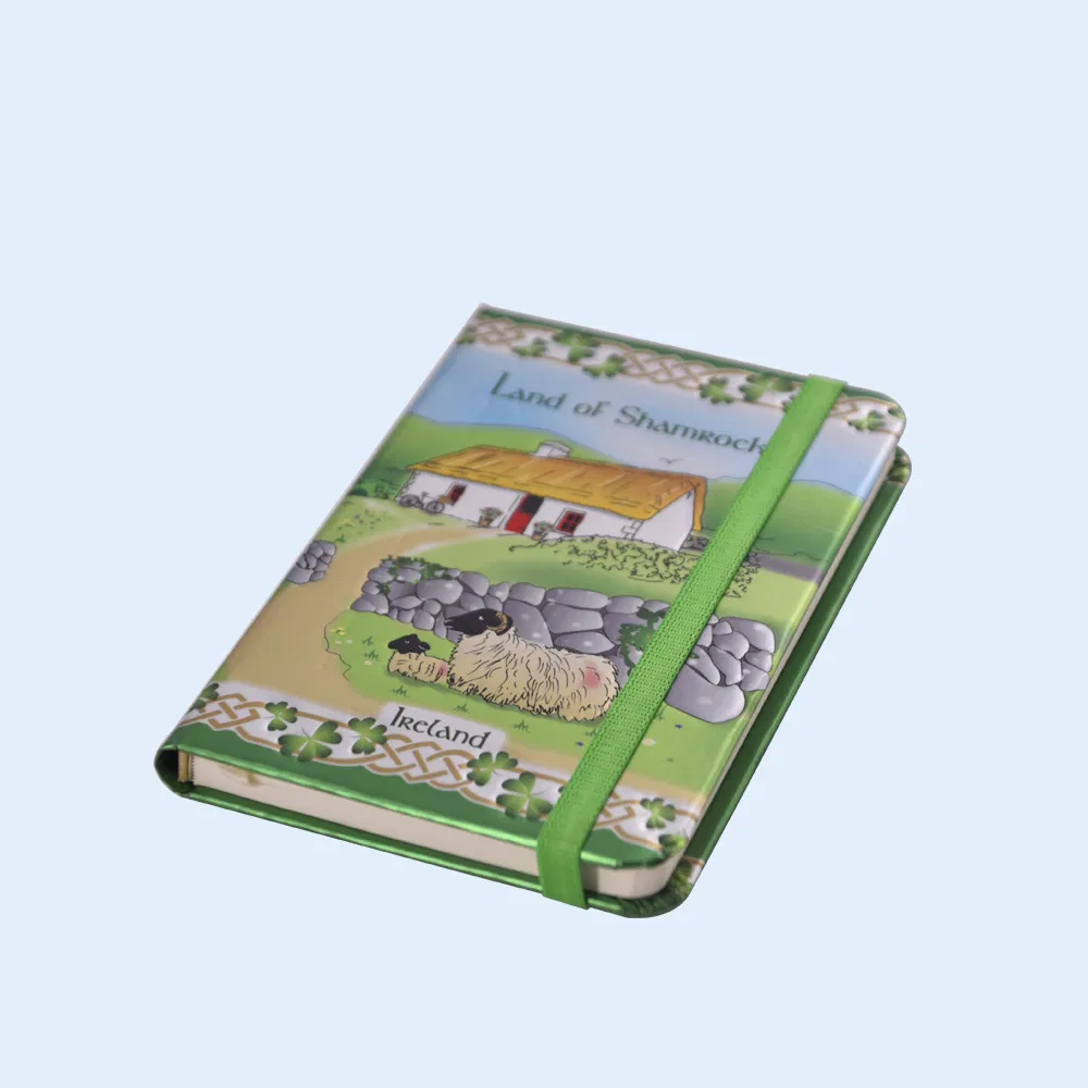Hardcover Notebook with Full Color Printing Customized Size and Pattern Daily Using