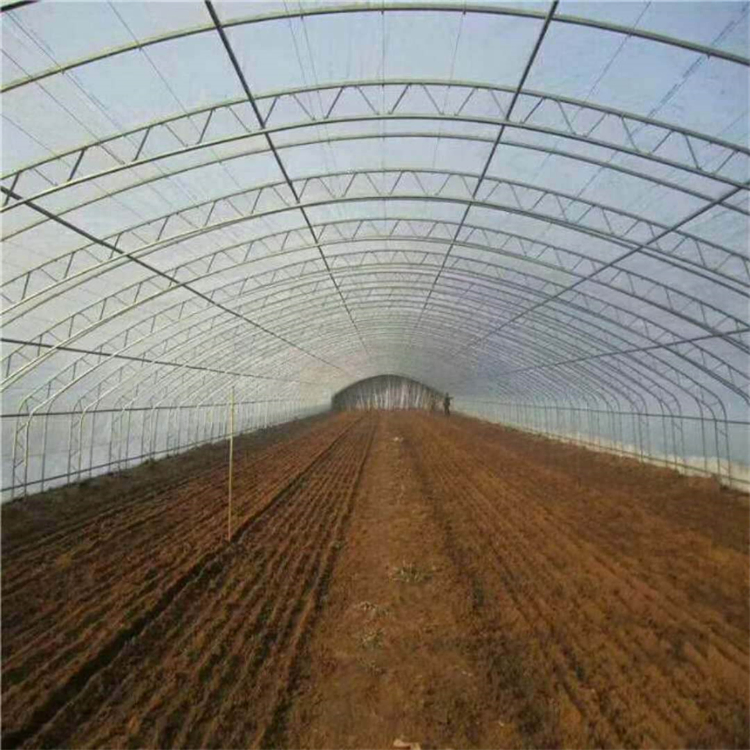 Steel Green House Frame with C Shape for Durable Plant Protection