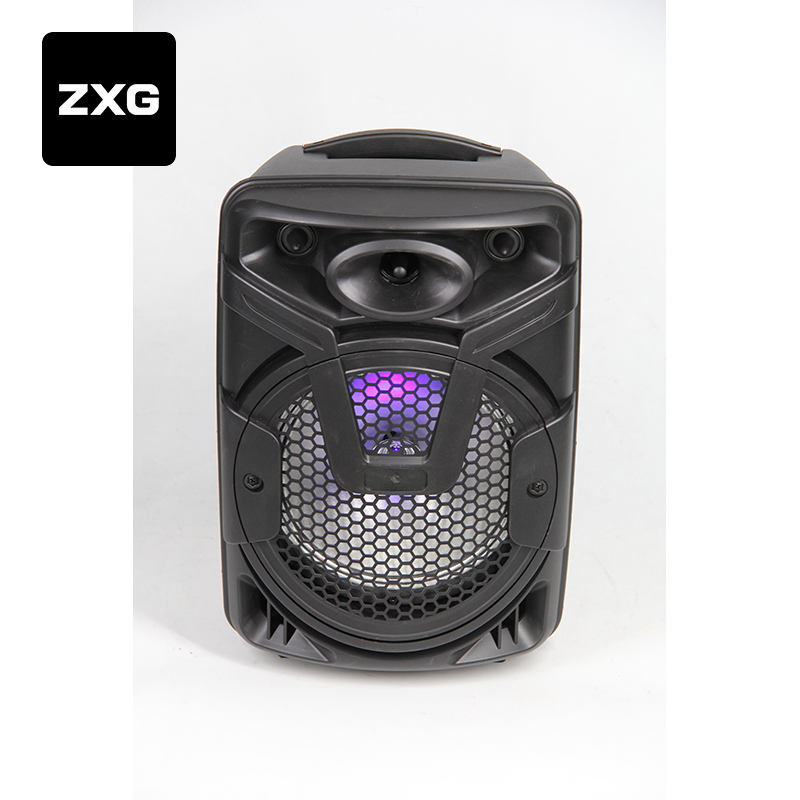 Promotional 8 Inch Christmas Powered handle Mini Speaker with Wireless Microphone