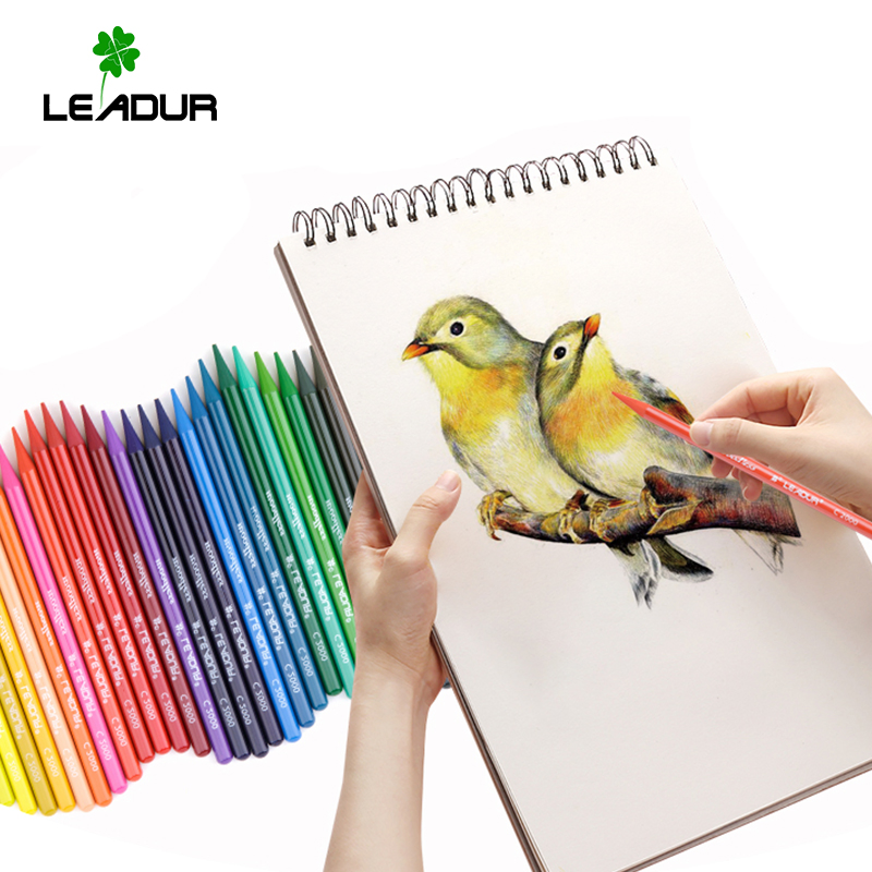 Wood-Free Full Lead Design, Environmentally Friendly and Durable Colouring Pencils