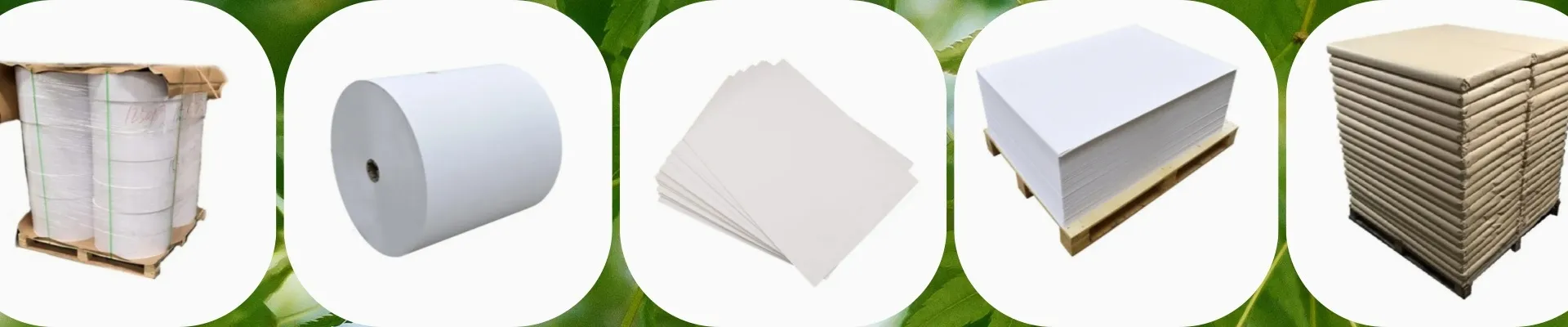 Hebei Zhouwo Trading Co., Ltd. banner 2