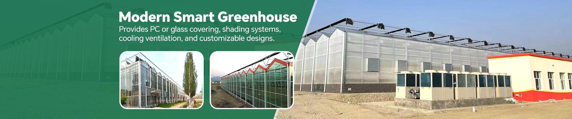 Cangzhou Zhuotai Greenhouse Equipment Manufacturing Co., Ltd. banner 1