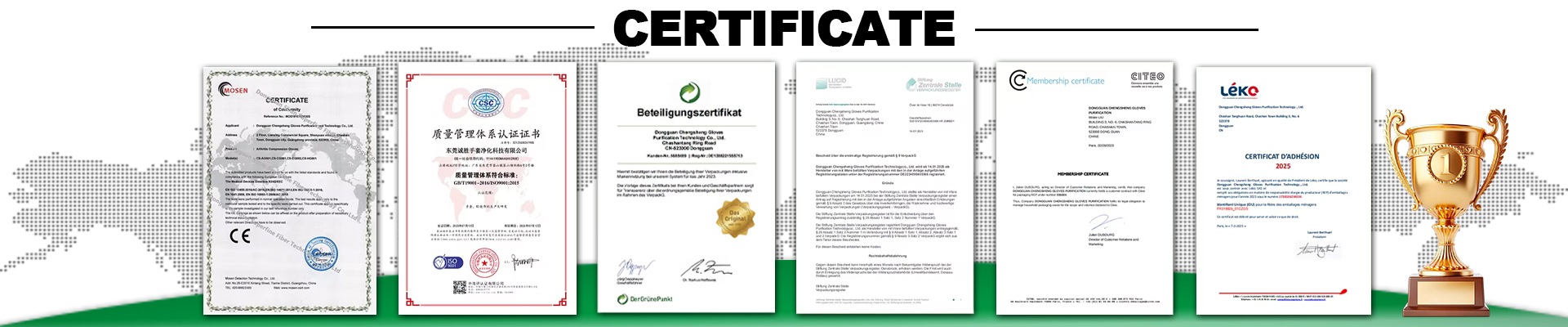 Dongguan Chengsheng Gloves Purification Technology Co.,Ltd. banner 2