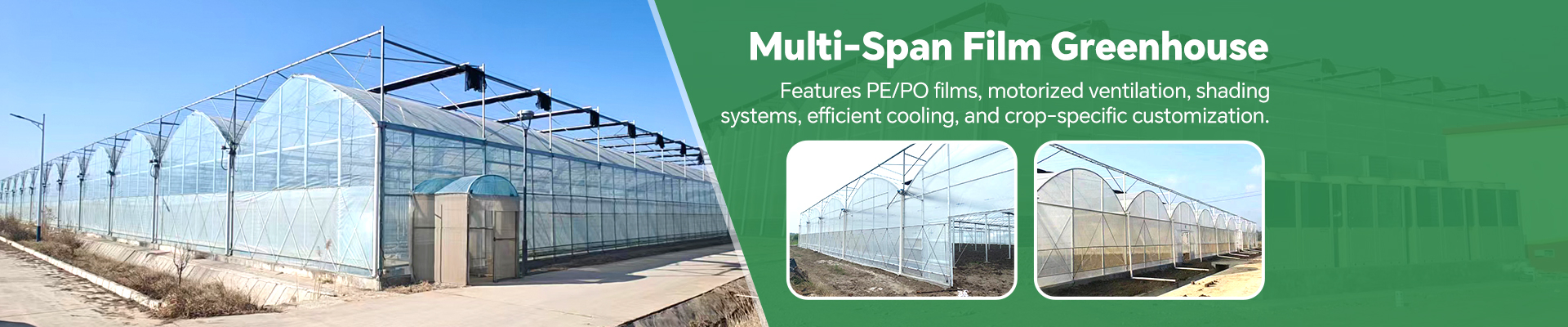 Cangzhou Zhuotai Greenhouse Equipment Manufacturing Co., Ltd. banner 2